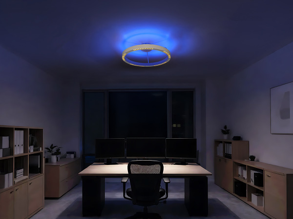 Plafonieră LINIA 660 - 10010 2