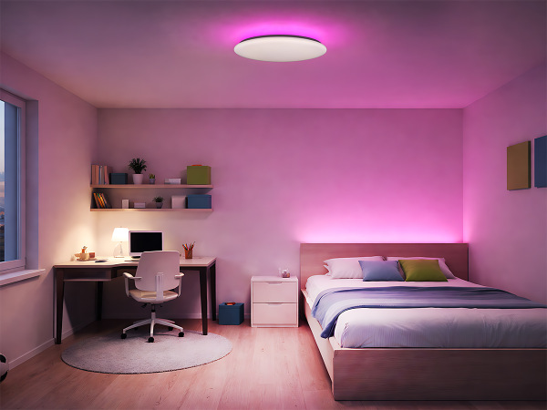 Plafonieră LINIA 499 - 10015 2