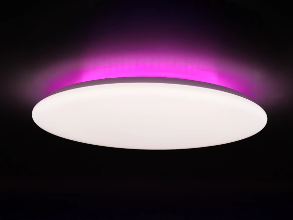 Plafonieră LINIA 499 - 10015 6