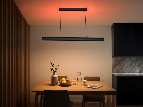 LINIA corp de iluminat suspendat 1200 - 10001 2