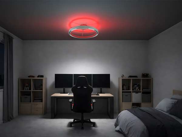 Plafonieră LINIA 660 - 10009 2